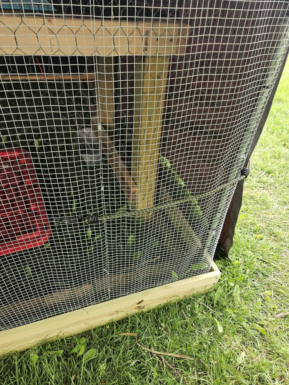 VEVOR Large Metal Chicken Coop with Run, 9.8x26.5x6.5 ft Walk-in Chicken Runs for Yard with Cover, Spire Roof Hen House with Security Lock for Outdoor and Backyard, Farm, Duck Rabbit Cage Poultry Pen customer photo 1