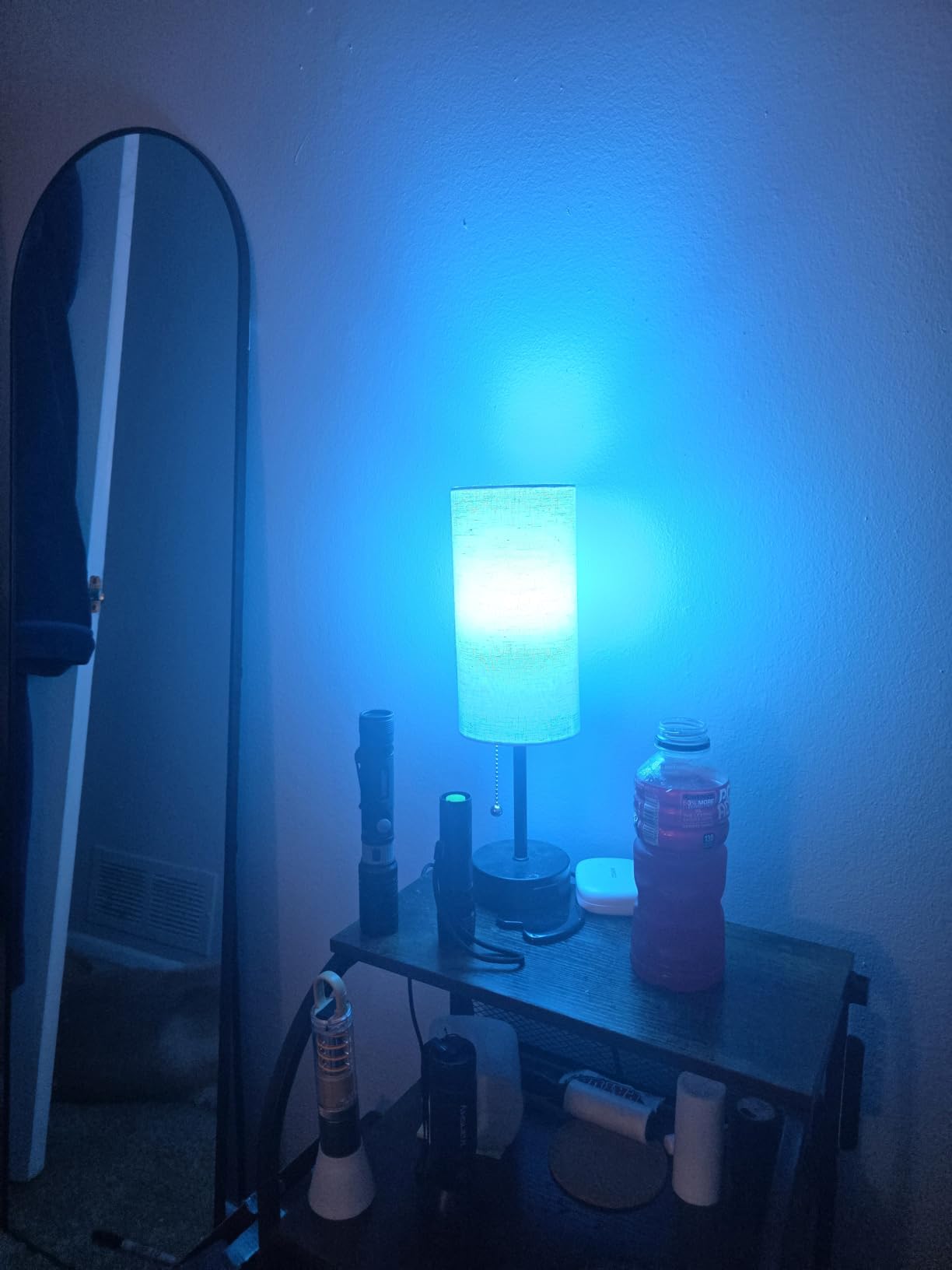 Bedside Table Lamp for Bedroom,Small Lamps for Night stands with Pull Chain customer photo 2