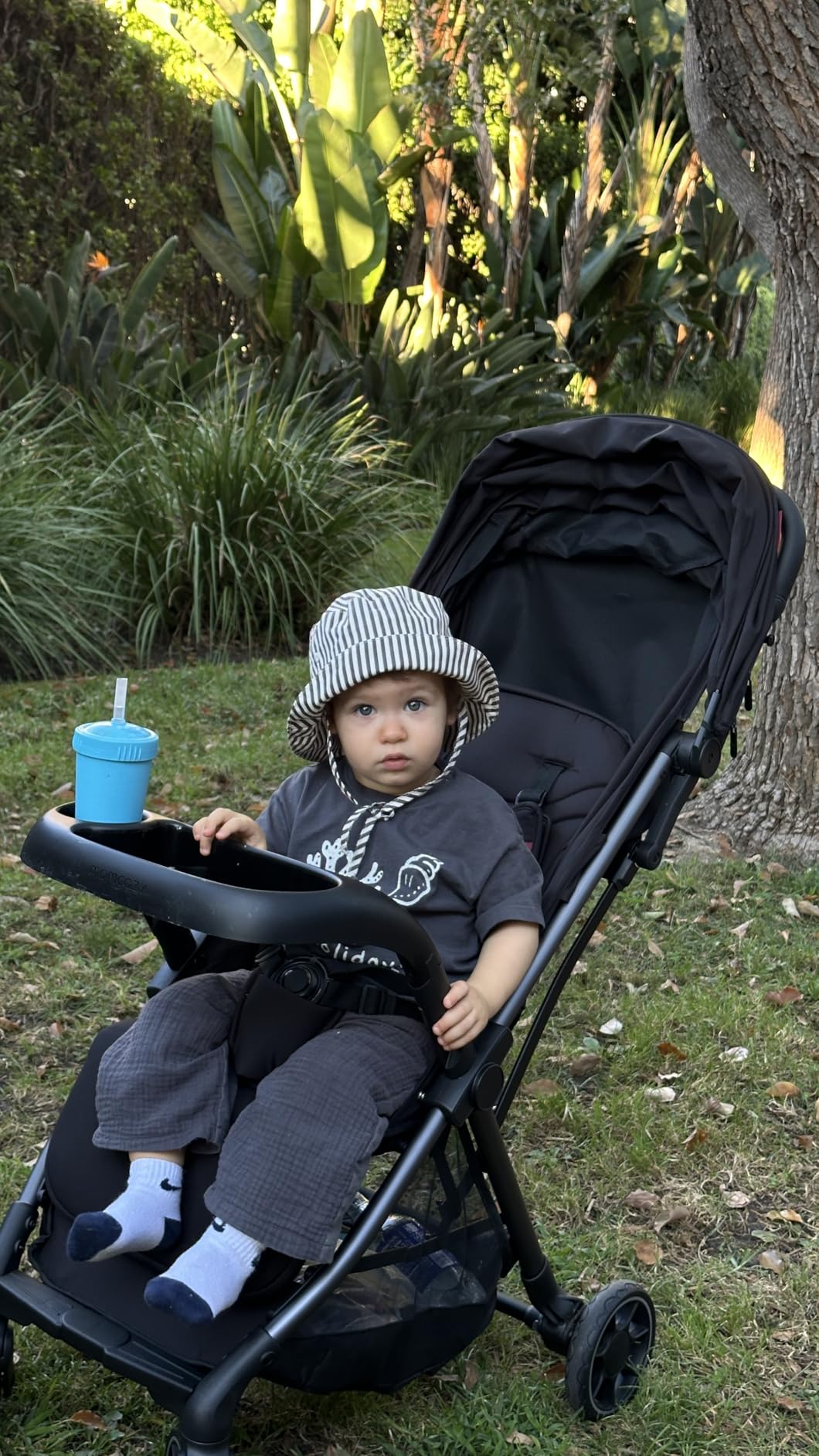 Momcozy ClickGo Lightweight Travel Stroller for Airplane, One-Click Fold customer photo 2