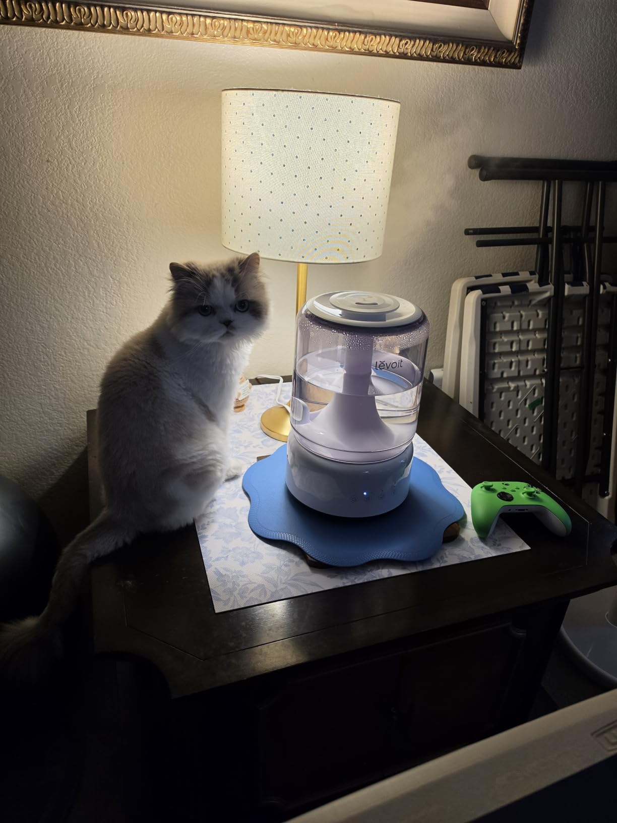 Levoit Evaporative Humidifiers for Bedroom Baby, Dual Air and Water Filters customer photo 2