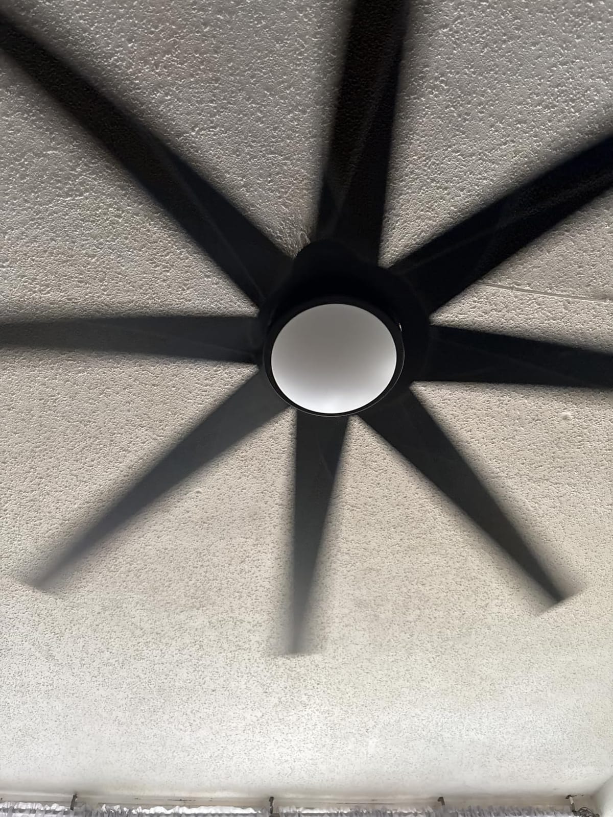 Fanbulous 60 Inch Ceiling Fans with Light and Remote, Black customer photo 1