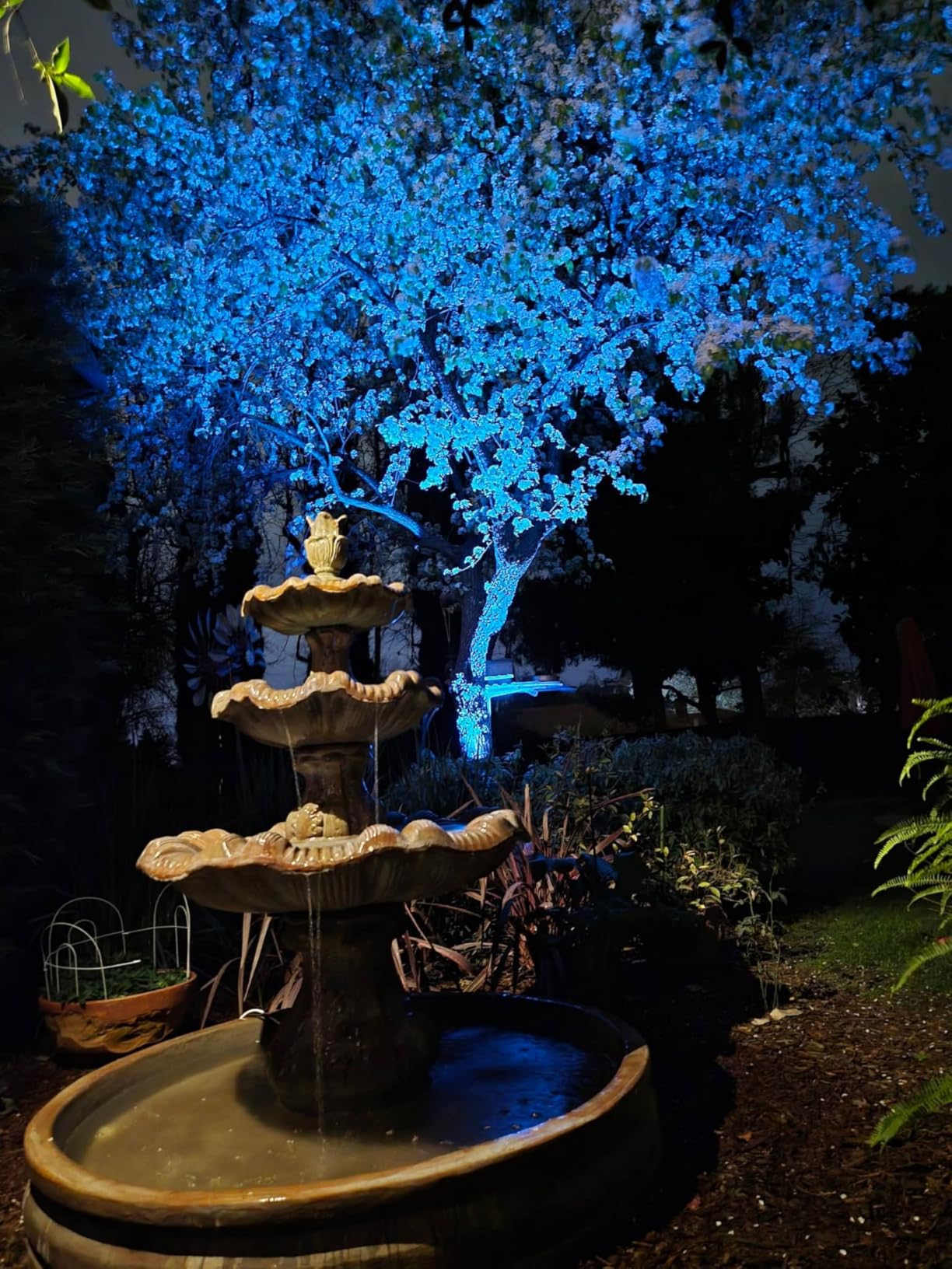 ZUCKEO All-in-One RGBW Landscape Lighting Kit, 5W Color Changing Low Voltage Landscape Lights with Transformer and 80FT Wire, LED Multi-Color Landscape Spotlights for Holiday Yard Garden House, 8Pack customer photo 2