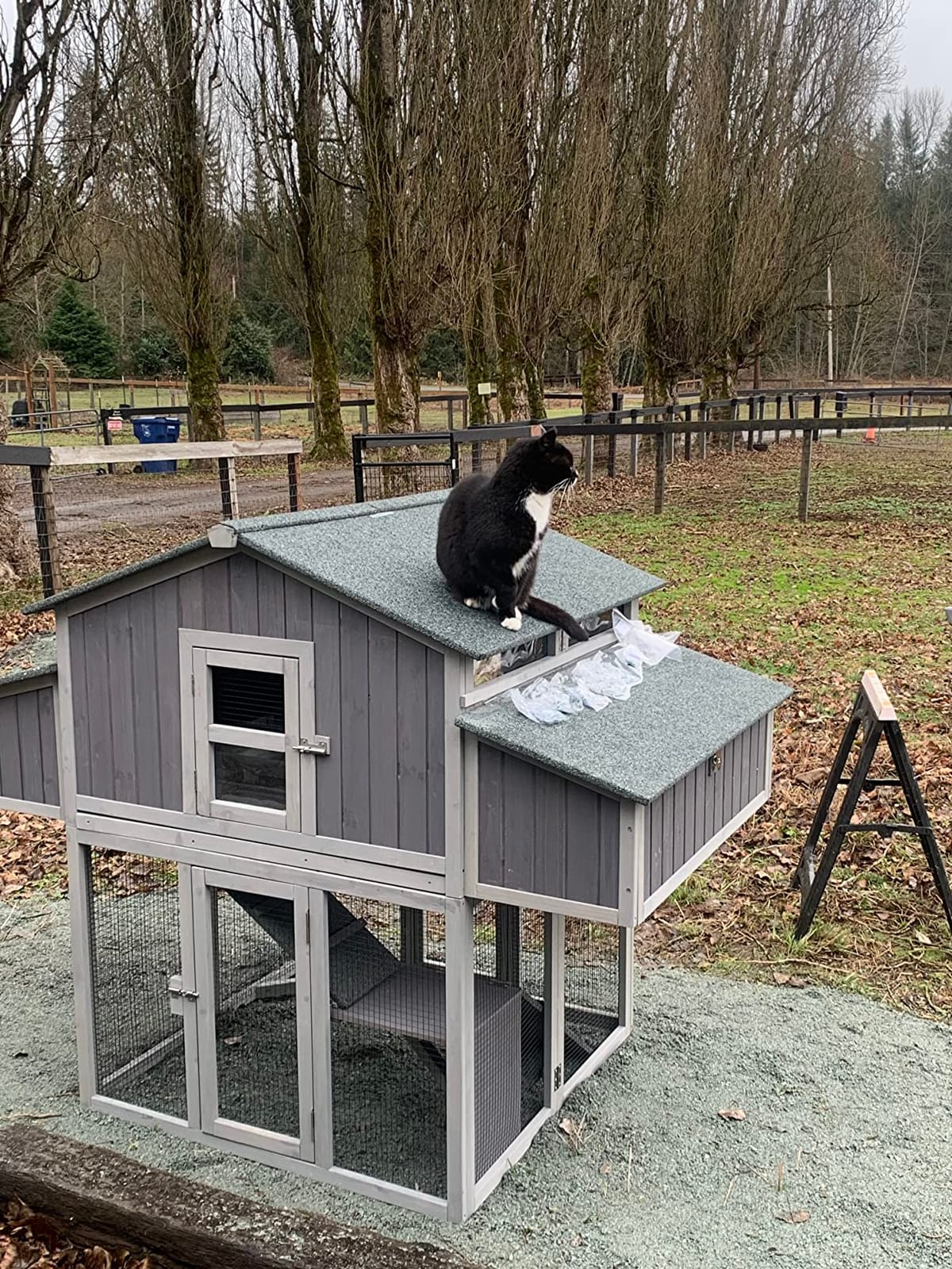 Aivituvin Chicken Coop 85