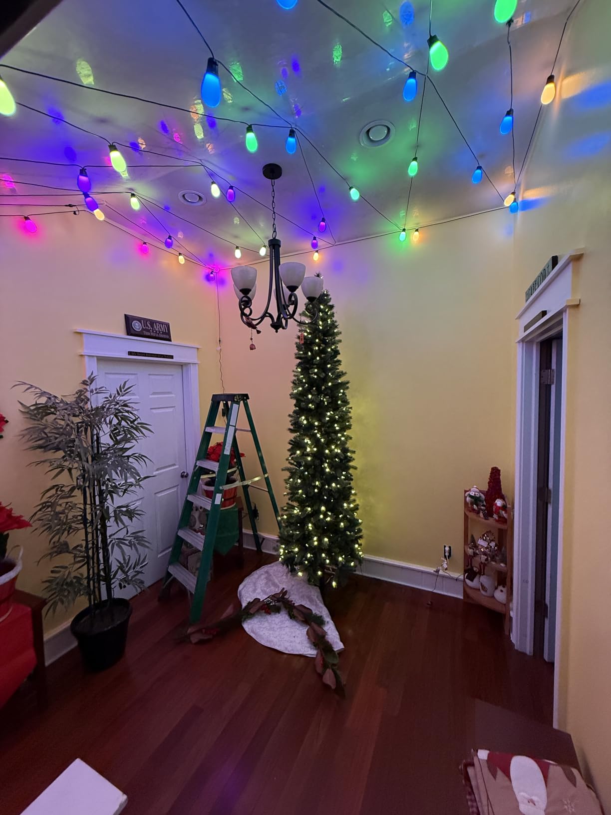 Govee S14 Bulb Outdoor String Lights 2, 96ft RGBICWW, 30 LED Bulbs, IP66 customer photo 2