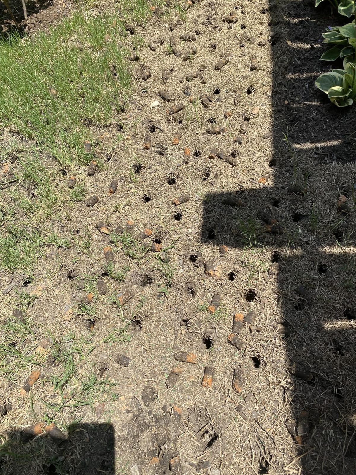 Manual Lawn Core Aerator for Compacted Soil with Non-Clogging Hollow Tines customer photo 1