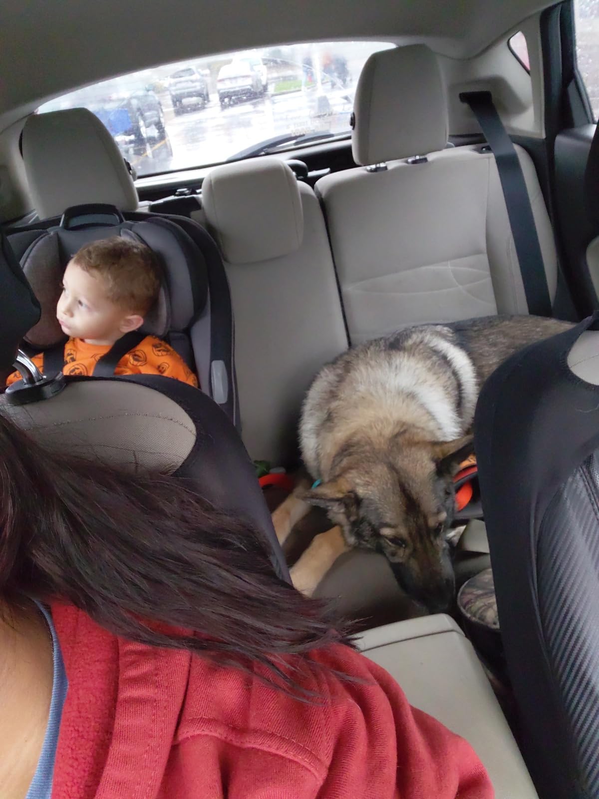 Safety 1st Grow and Go All-in-One Convertible Car Seat, Vineyard Girl customer photo 2