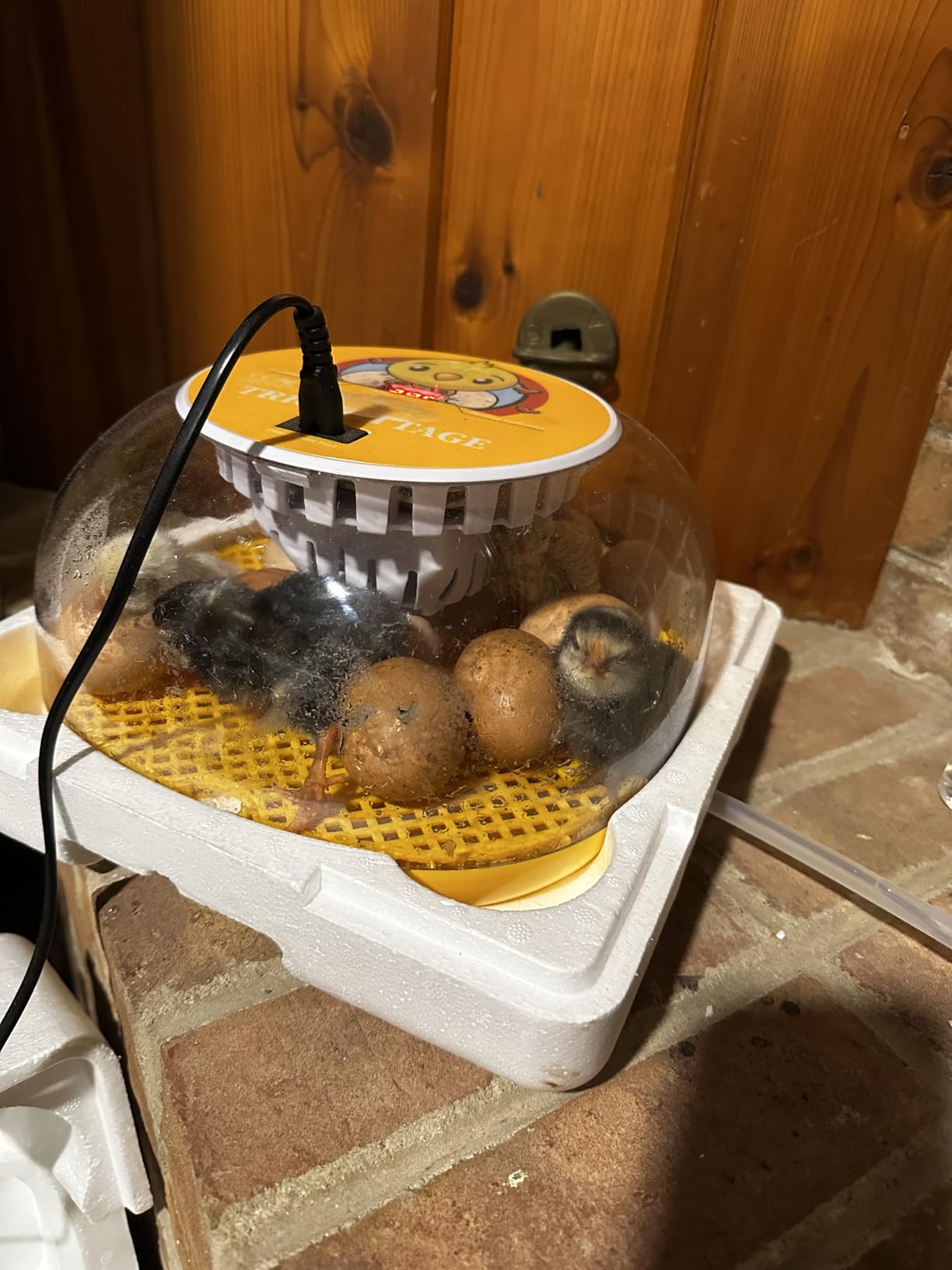 Chick Brooder Heater Plate with Digital Temperature Control, Chicken Coop Heater for Chicks & Ducklings, LED Display, Remote Control, Adjustable Angle, 86°F–167°F Heating Plate customer photo 2