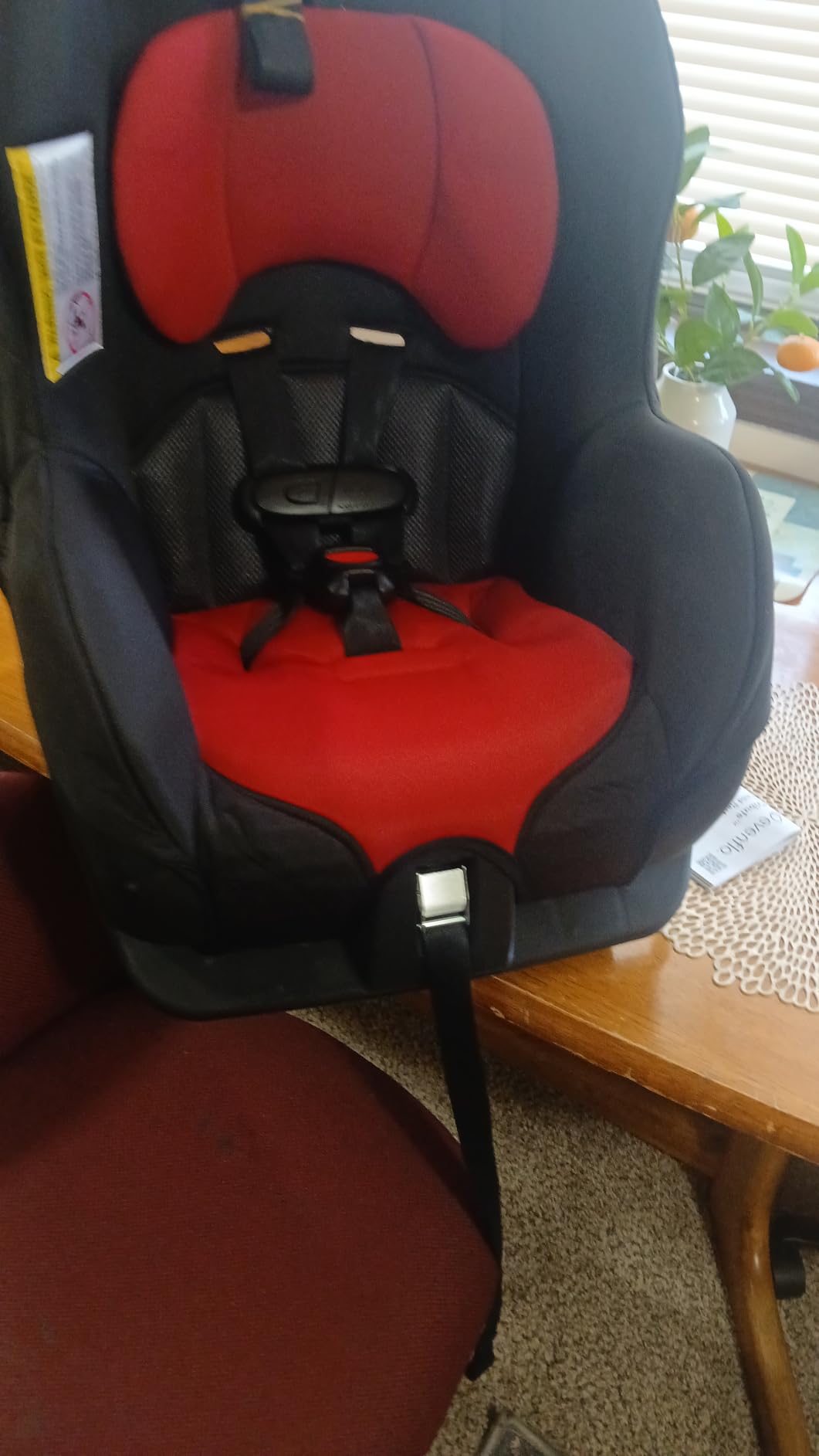 Evenflo Tribute LX Convertible Car Seat customer photo 1