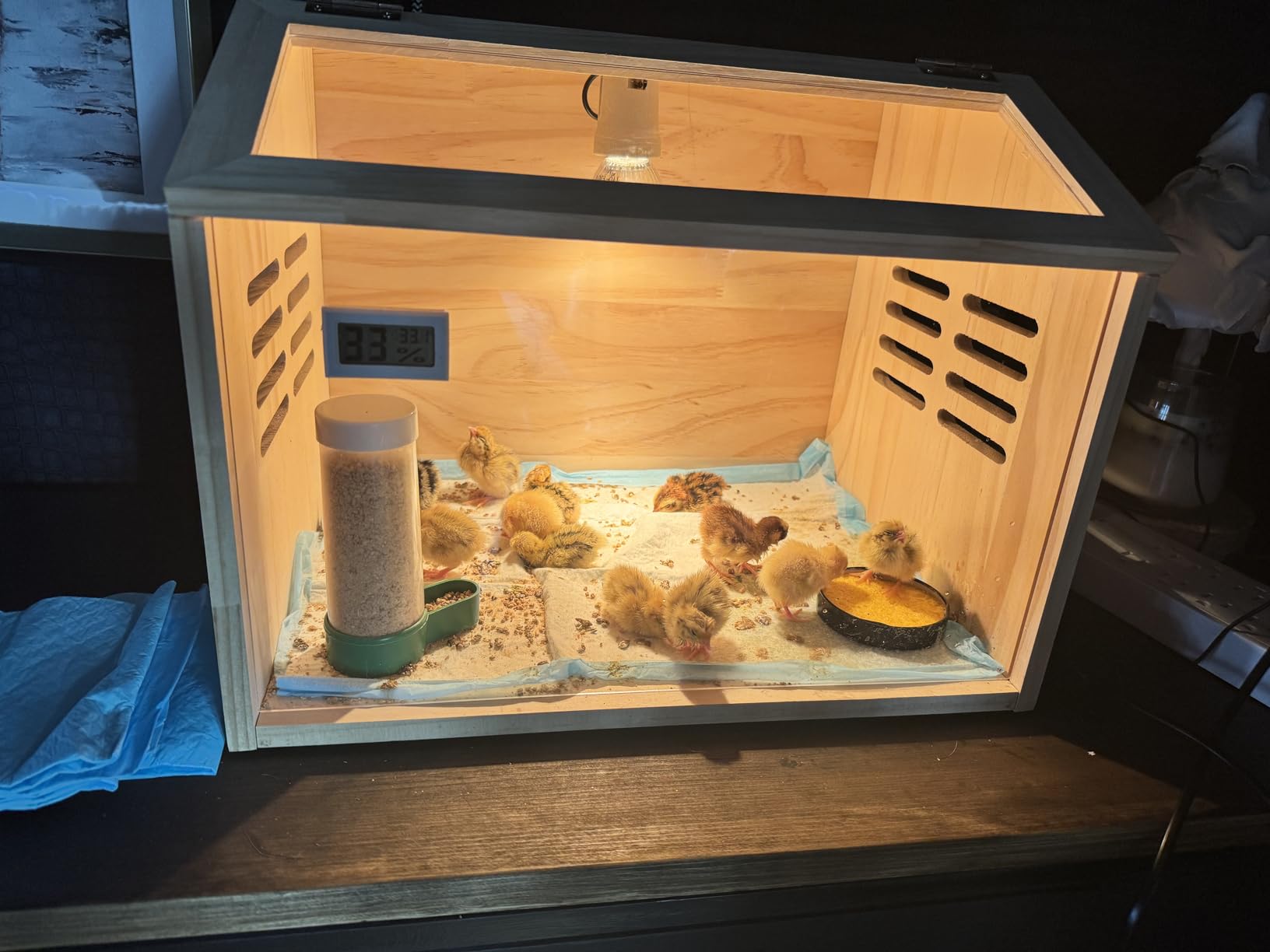 Wooden Chick Brooder Box with Heat Lamp and Thermometer, 15.7 x 12 x 12 in customer photo 2