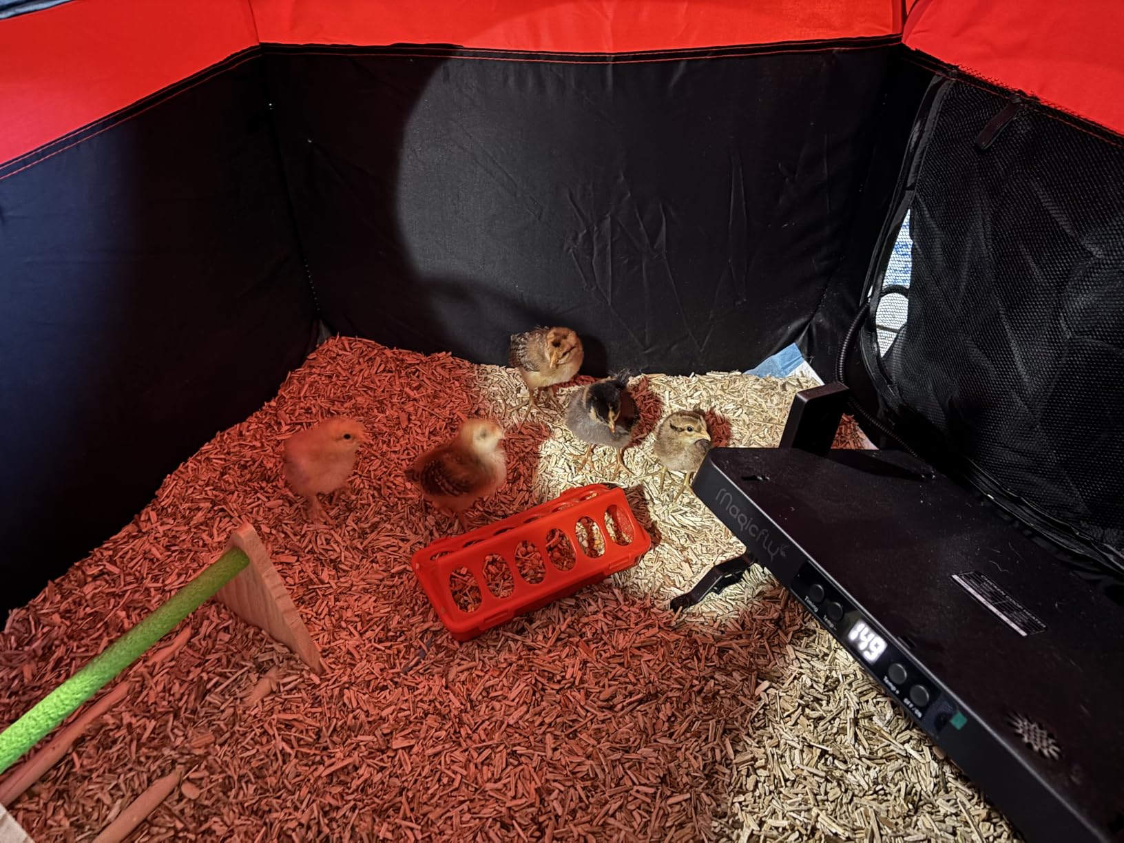 Magicfly Brooder Box for Chicks Starter Kit with 15 x 11 Inch Heating Plate customer photo 2