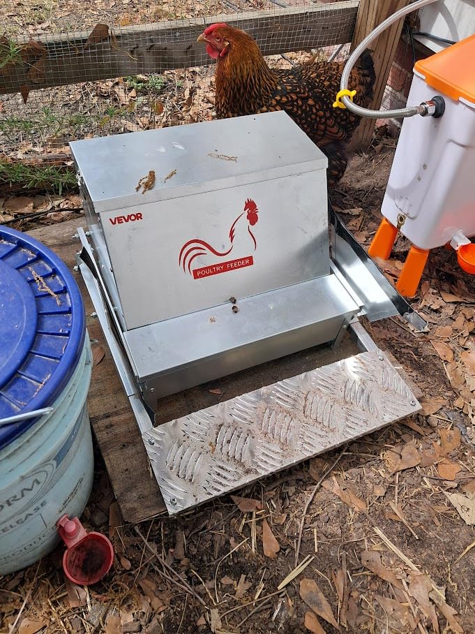 VEVOR Automatic Chicken Feeder, 40 lbs Capacity, Rainproof Treadle Poultry Feeder with Lockable Lid, No Waste, Galvanized Steel Construction, Outdoor Use, for Chicken, Bantams, Poultry, Pheasants customer photo 1