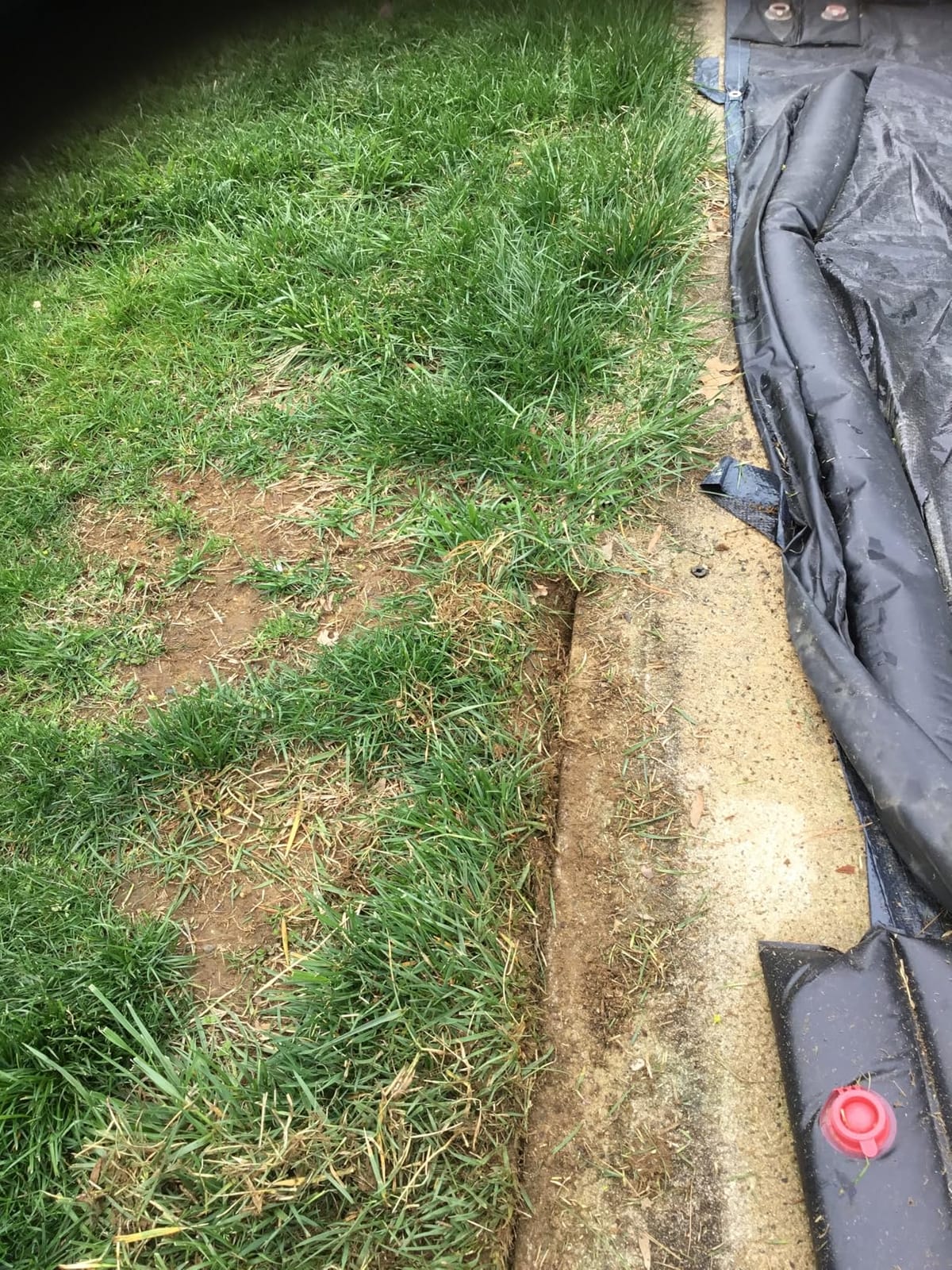 VEVOR Lawn Edger 8.8-in Blade, 20V Battery Powered Cordless Edger Lawn Tool customer photo 2