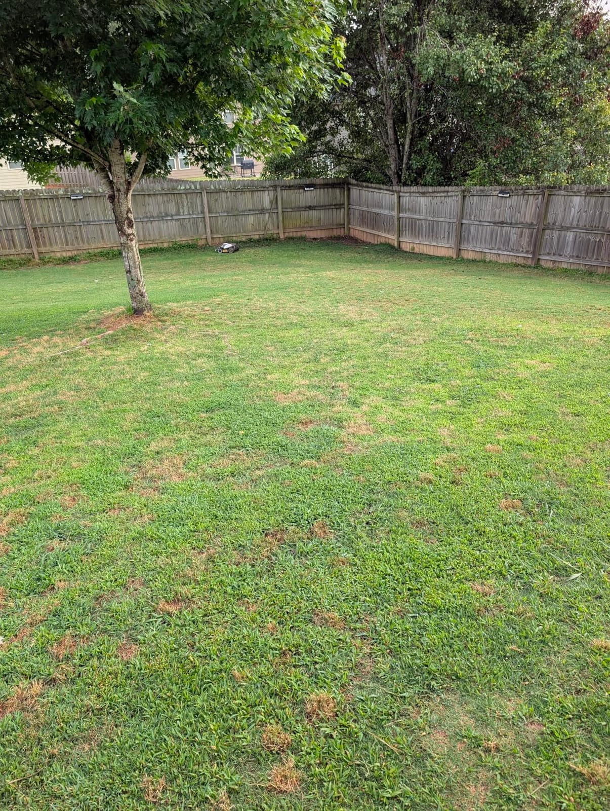 (2026 Upgrade) Mammotion LUBA mini 2 AWD 1500H Robot Lawn Mower, for 0.37 Acres, 360° LiDAR+Dual-Camera AI Vision, 80% Slope, DropMow, 20 Multi-Zone Management customer photo 1