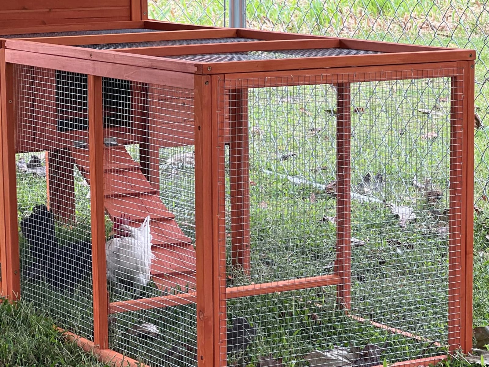 XLarge Chicken Coop Outdoor Wooden Hen House Poultry Cage Orange 80