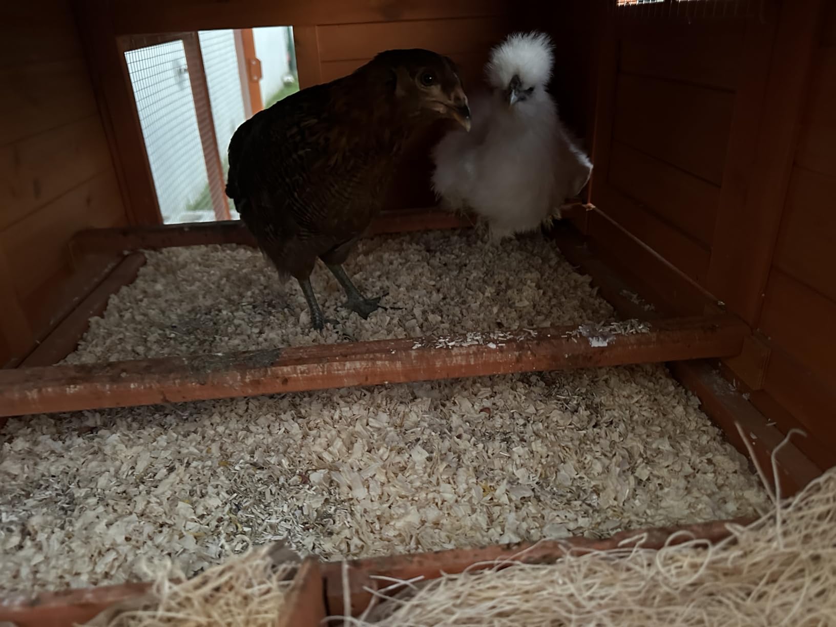 XLarge Chicken Coop Outdoor Wooden Hen House Poultry Cage Orange 80