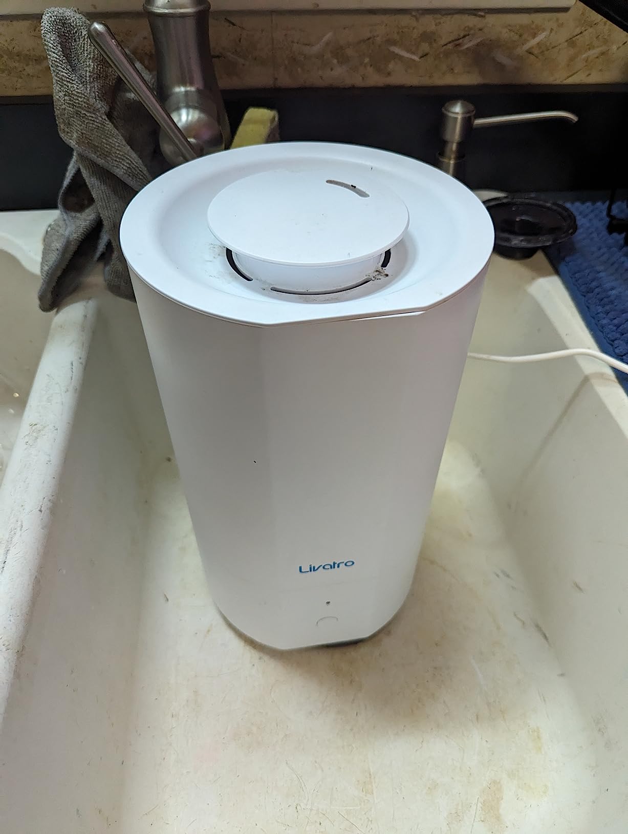Livatro 3L Stainless Steel Humidifiers for bedroom with Warm Mist Steam customer photo 1