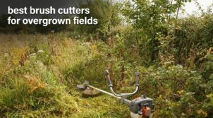 best brush cutters for overgrown fields